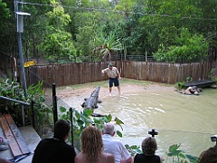 221 Hartley's Crocodile Farm